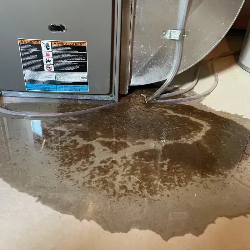 Appliance Leak Cleanup in Richmond Heights, MO